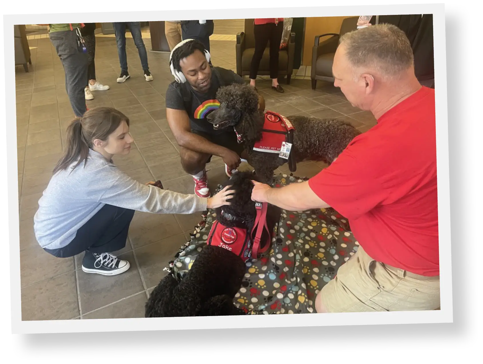 Two students petting two different black poodle therapy dogs with instructor in red shirt holding leash